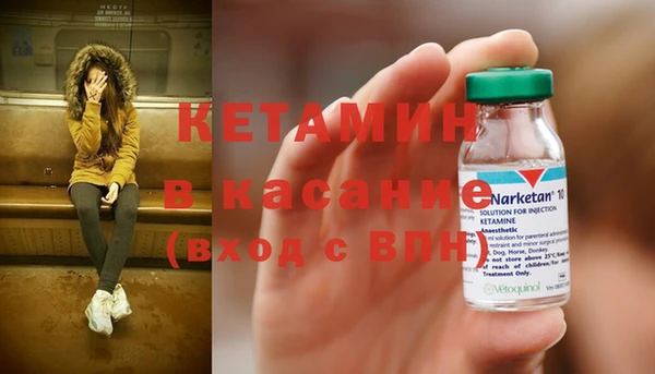 крисы Няндома