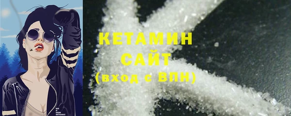 крисы Няндома
