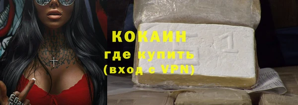 крисы Няндома