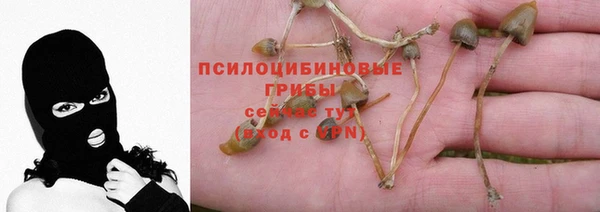 твердый Нягань