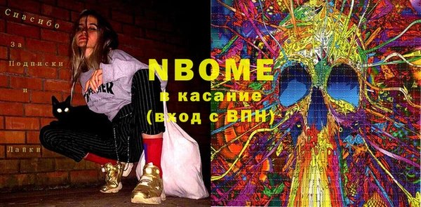 крисы Няндома