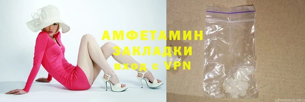 крисы Няндома