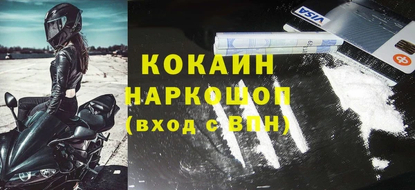 крисы Няндома