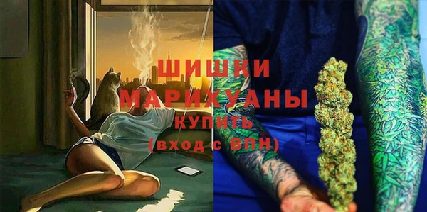 крисы Няндома