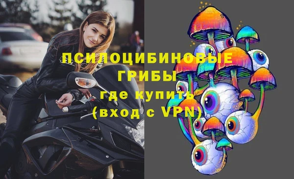 твердый Нягань