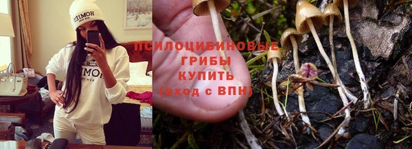 твердый Нягань