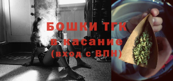 крисы Няндома