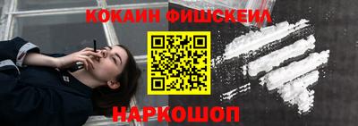 крисы Кунгур
