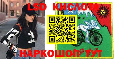 крисы Кунгур