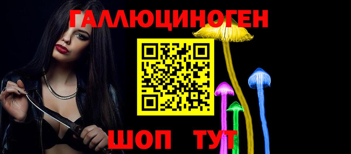 Псилоцибиновые грибы Psilocybe Советск