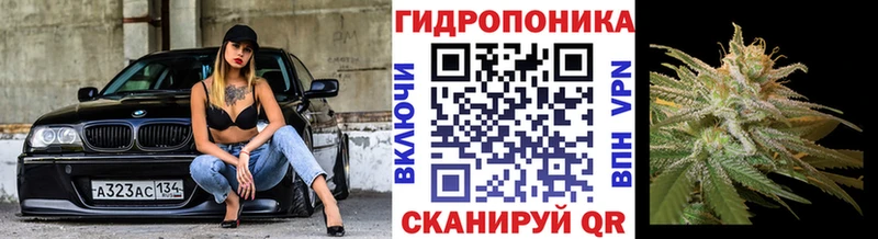 МАРИХУАНА OG Kush закладка Советск